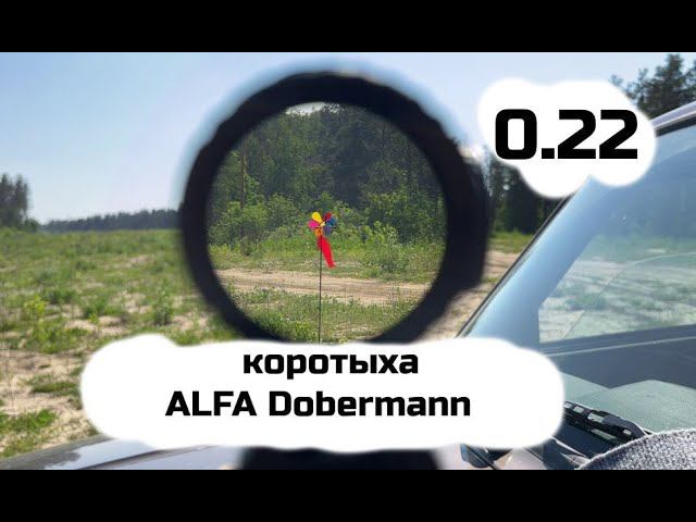 Легкими пульками в ветер. AlfaDobermann 260мм 5.5 смотреть онлайн