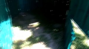 Садовый компостер на 800 литров за 3790 рублей (Garden composter)