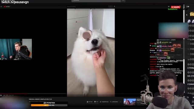 Братишкин и хесус снова сцепились и испортили всем праздник каждый день одно и тоже смотреть онлайн