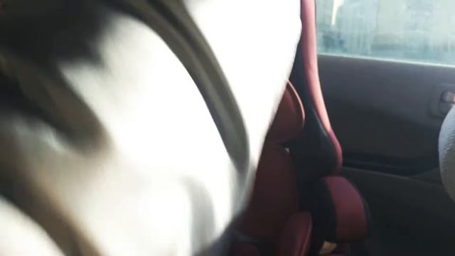 Как вставить ремни в автокресло/ Как правильно собрать ремни