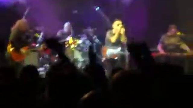 Звери-Рома, извини. Брест. 24 октября 2014г. смотреть онлайн