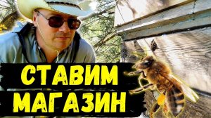 Ставлю магазин БРОДЯЧЕМУ РОЮ || Ставлю МИНИ РАМКИ #64