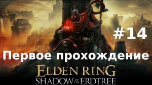 Дополнение Elden Ring - Shadow of the Erdtree  - 14