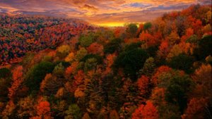 Самые красивые закаты Солнца