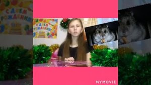 Сколько живут хомячки ???/сколько длится беременность у хомячка/сколько приносит потомства/...