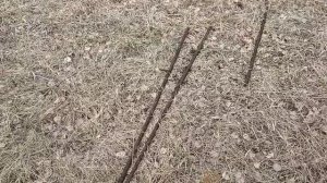 Чëрное золото СССР. #фермы #железо #деревенская жизнь ???