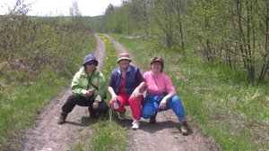 Лето пришло в окрестности Советской Гавани