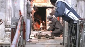 Шок -  Индийский Храм Крыс