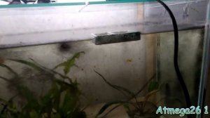 Подготовка аквариума и как уменьшил поток воды на новой помпе