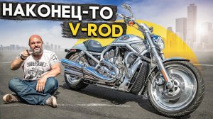 Harley-Davidson V-Rod: исключительный экземпляр #МОТОЗОНА N120