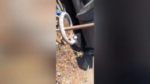 Замена задний пружины на Калине