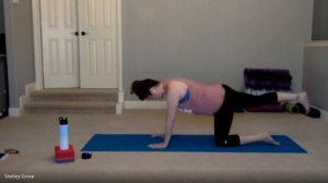 WSP Yoga at Home - Short Yoga Break with Shelley