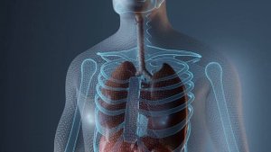 Air Pollution for Kids | Learn about the Causes and Effects of Air Pollution