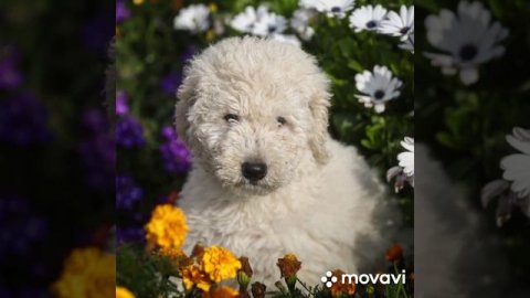 Совместное творчество 😍