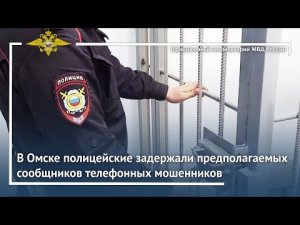 Ирина Волк: В Омске полицейские задержали предполагаемых сообщников телефонных мошенников