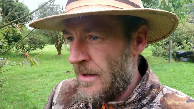 Clan Mythology #30 - Blackberry Celtic Faerie Lore смотреть онлайн