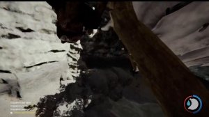 the FOREST 3 способа попасть в КРАТЕР