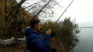 Ловля леща на фидер | Как ловить леща по холодной воде