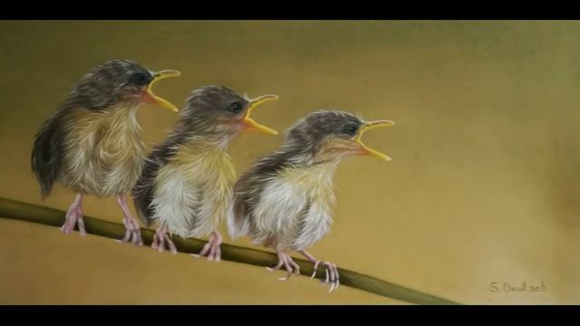 Contemporary artists in the art gallery CNIPS (video #01) - сучасні художники в галереї ЧНІПС смотреть онлайн