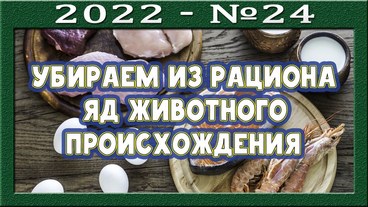 Сокращение в рационе продуктов животного происхождения. Видовые продукты. Побег от исцеления.