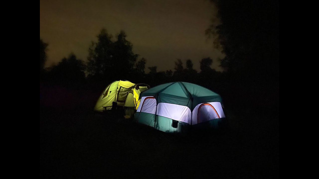 07 09 июня 2024 год отдых на природе 4 кота, собака и два человека смотреть онлайн