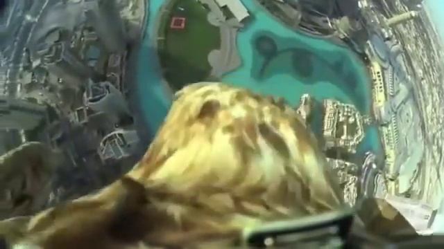 Орел возвращается к своему хозяину смотреть онлайн