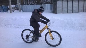 Как научиться вставать на дыбы