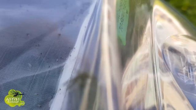 Способ 1: Как убить живых комаров в сетке Mosquito Magnet Executive. Бортовой журнал ч.5 смотреть онлайн