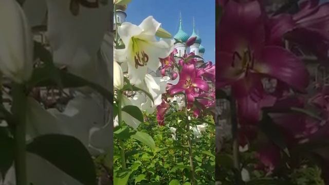 Достойно есть яко воистину блажити Тя ,Богородицу. смотреть онлайн