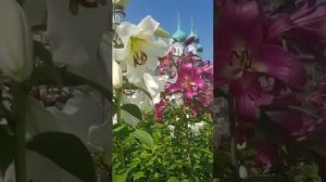 Достойно есть яко воистину блажити Тя ,Богородицу.