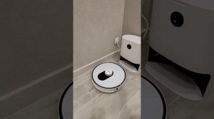 Roidmi eve plus. Установка сторонних озвучек / Installing custom language packs.