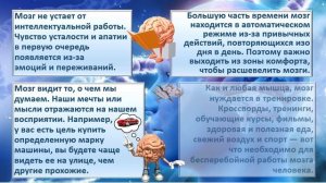 Интересные факты о головном мозге