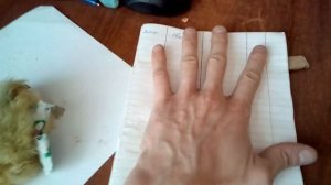 Гусенок родился со скрюченой лапкой что делать!!!