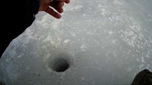 Рыбалка на Рузском водохранилище. Курово,  28 марта 2019г.