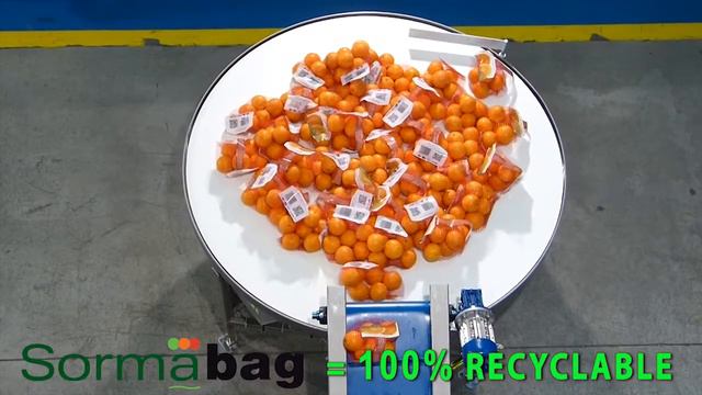 Линия фасовки апельсинов в сетку с ручкой Sorma WD4 + 2 BSH смотреть онлайн
