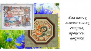 Вышиваю летом 2024.  Два новых вышивальных старта, поцессы, покупки