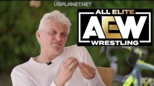 Тиньков поясняет за WWE