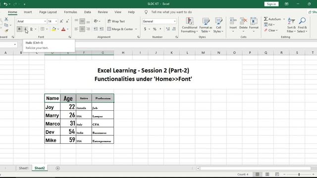 Excel | Functions under Home - Font | Font Types in Excel | Microsoft Excel Tutorial | Excel Basics