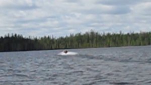 CompAs 380S + Suzuki DT15