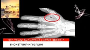 Что такое биометрия (введение начертания)