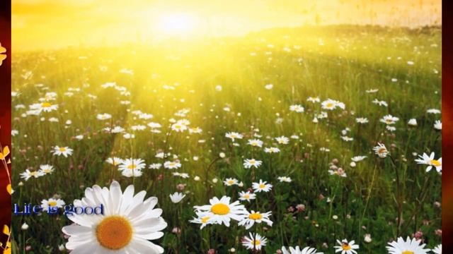 Заговор для красивых волос ! смотреть онлайн