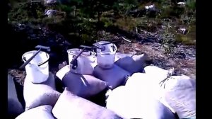 Комбайн для сбора ягод: брусники, черники и клюквы. Rake for picking berries