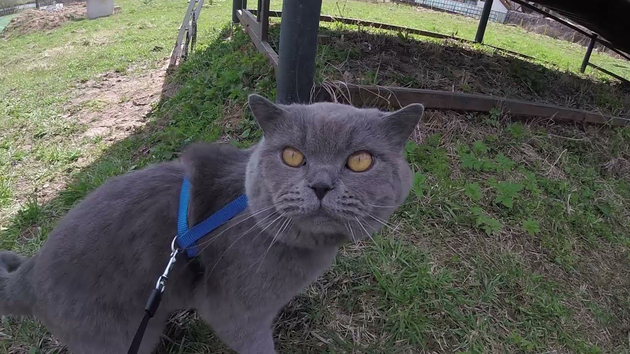Деревня Соснино (слесарный верстак) (часть 2 из 4)