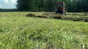 Т 25,#Владимирец и навесные гидравлические поперечные грабли  .