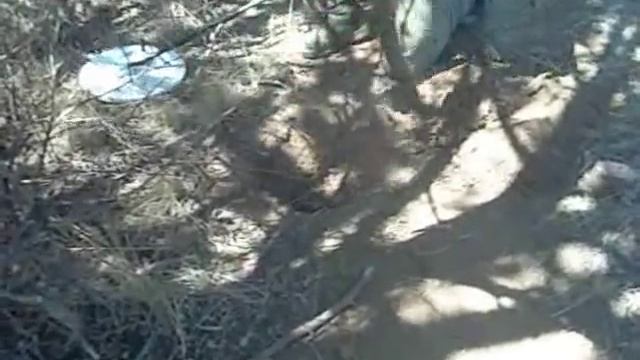 GPX Vs Eureka Part 2 смотреть онлайн