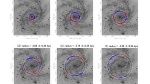 Magnetism, Migrations, Dust, Flooding, Space Weather | S0 News Jun.6.2019