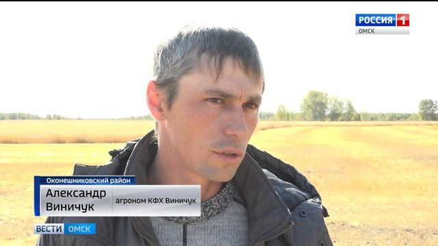 Уборочная в Оконешниковском районе