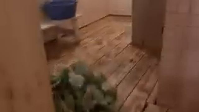 Отдыхаем/Наши соседи/Баня