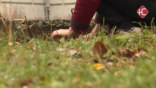 Недетский бизнес. смотреть онлайн