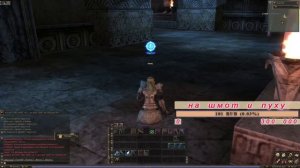 прохождение квеста  7 печатей в подземелье (вход в оракул рассвета) руофф  lineage 2 hatos стрим иг